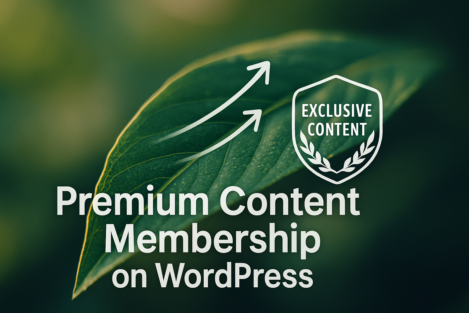 Build a Premium Content Membership on WordPress to Unlock Steady Income