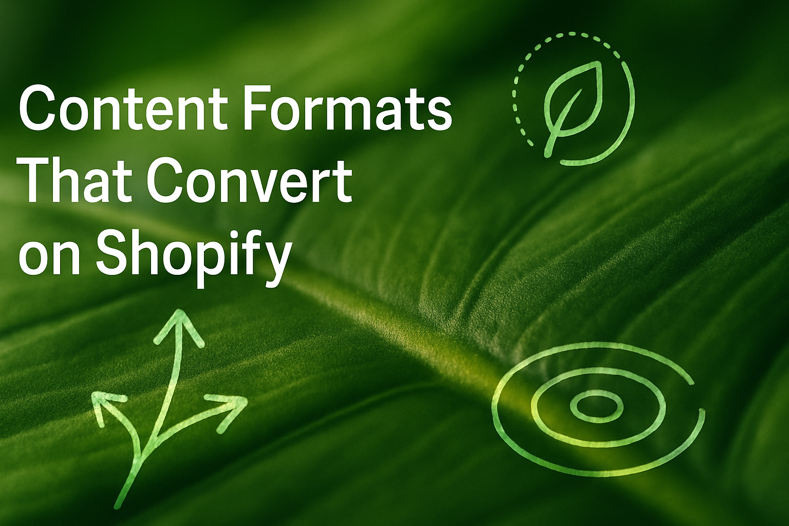 Content Formats that Convert on Shopify: Blogs, Guides, Tutorials, and Video