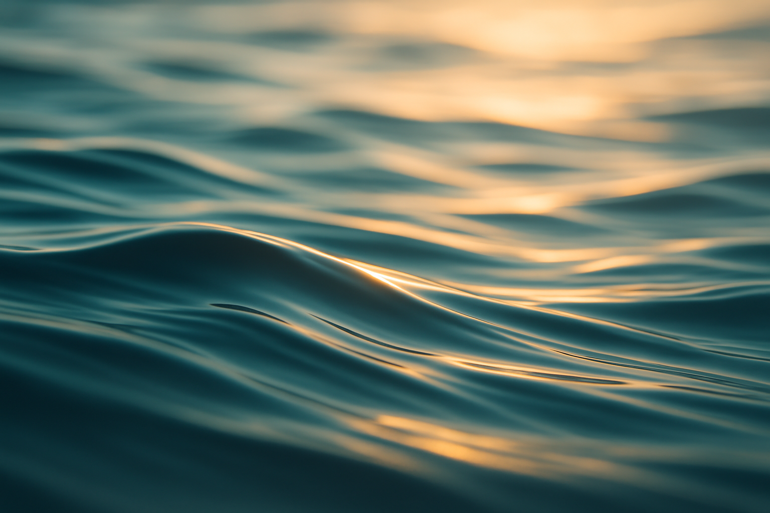 独立站博客的成功秘诀：内容与营销的完美结合